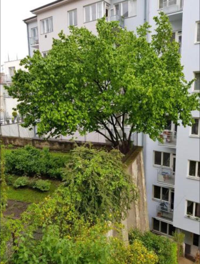 Old Town Apartment Pellicova Brno Exterior foto